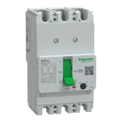 G12F3A63 - GOMCCB 125F 3P3D 63A ADJ - Schneider Electric