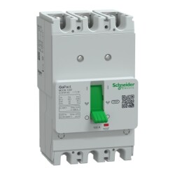 G12F3F100 - GOMCCB 125F 3P3D 100A SABİT - Schneider Electric