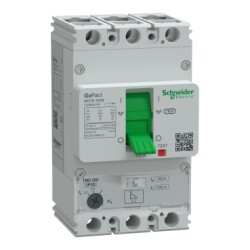 G20B3A100 - GOMCCB 200B 3P3D 100A ADJ - Schneider Electric