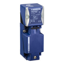 XS9C4A2A2G13-INDUCTIVE SENSOR RECT 40X40X117 12 24V D - Telemecanique Sensors